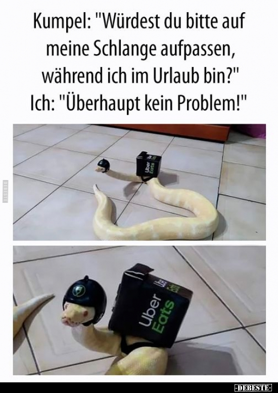 Kumpel: "Würdest du bitte auf meine Schlange aufpassen.." - Lustige Bilder | DEBESTE.de