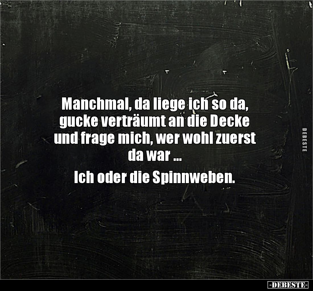 Manchmal, da liege ich so da, 
gucke verträumt an die Decke 
und frage mich, wer wohl zuerst 
da war ...

Ich oder die S...