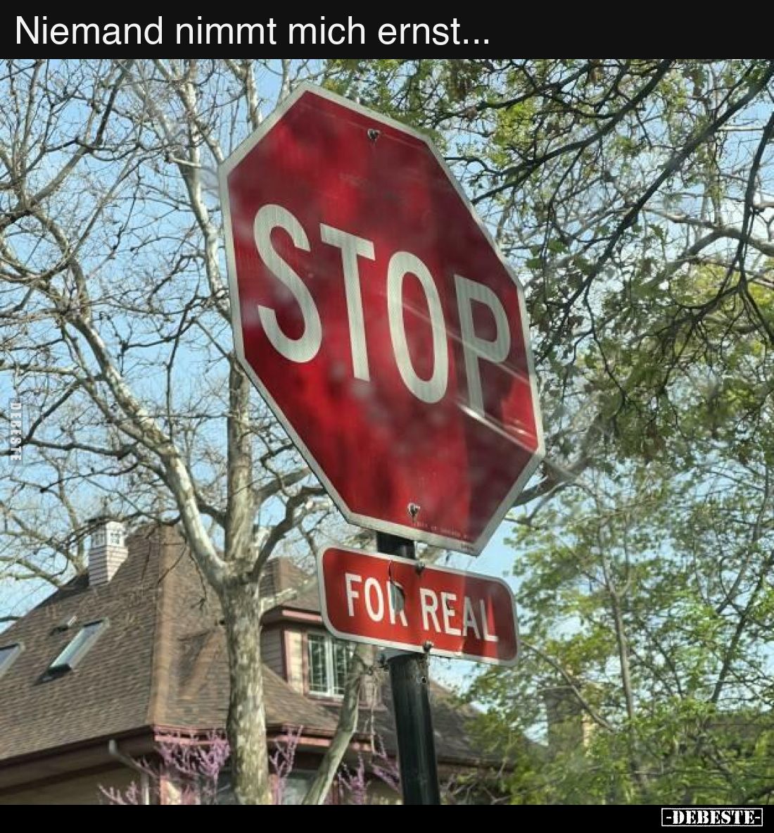 Niemand nimmt mich ernst...