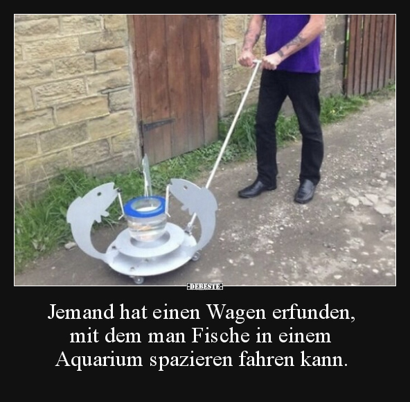 Jemand hat einen Wagen erfunden, mit dem man Fische in.. - Lustige Bilder | DEBESTE.de