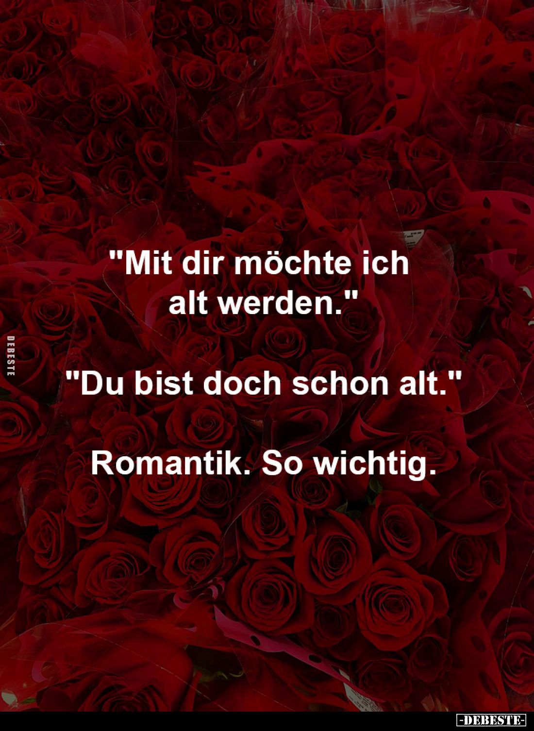 "Mit dir möchte ich alt werden."
-
"Du bist doch schon alt."
-
Romantik. So wichtig.