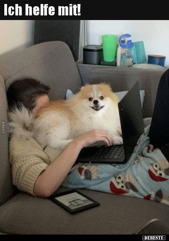 Ich helfe mit!..