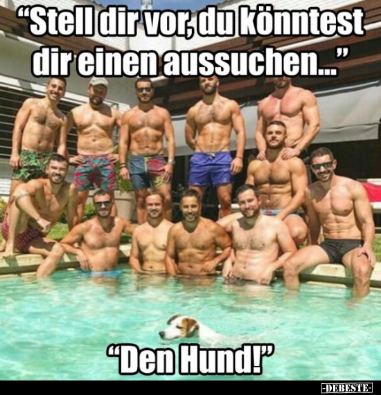 "Stell dir vor, du könntest dir einen aussuchen..."