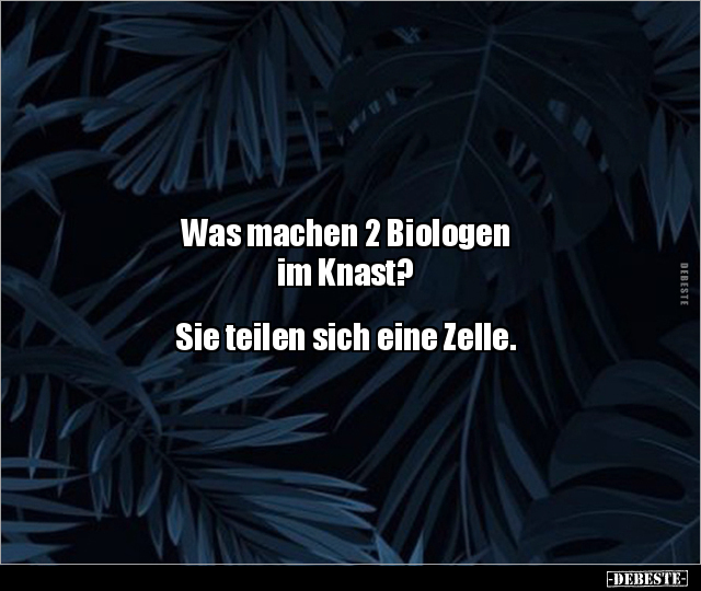Was machen 2 Biologen im Knast? Sie teilen sich eine.. - Lustige Bilder | DEBESTE.de