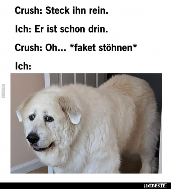 Crush: Steck ihn rein... - Lustige Bilder | DEBESTE.de