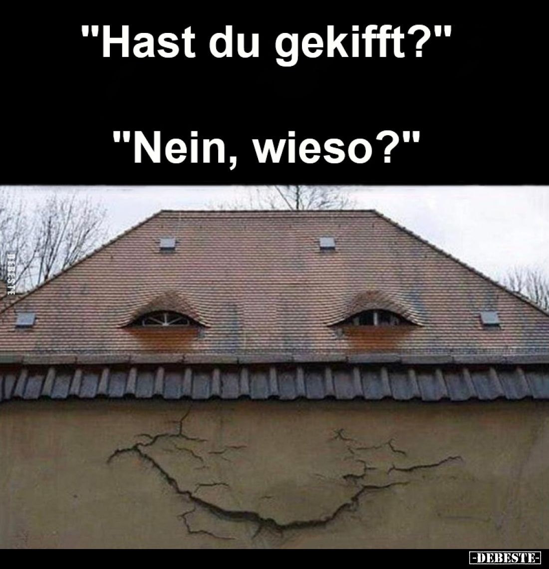 "Hast du gekifft?"
-
"Nein, wieso?"