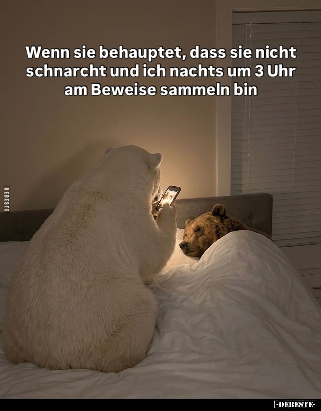 Wenn sie behauptet, dass sie nicht schnarcht und ich nachts um 3 Uhr am Beweise sammeln bin