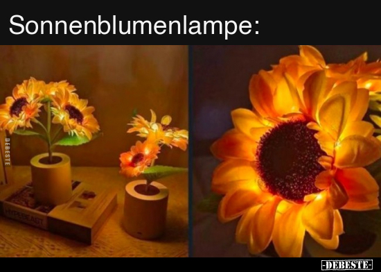 Sonnenblumenlampe.. - Lustige Bilder | DEBESTE.de