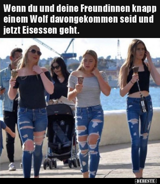 Wenn du und deine Freundinnen knapp einem Wolf..