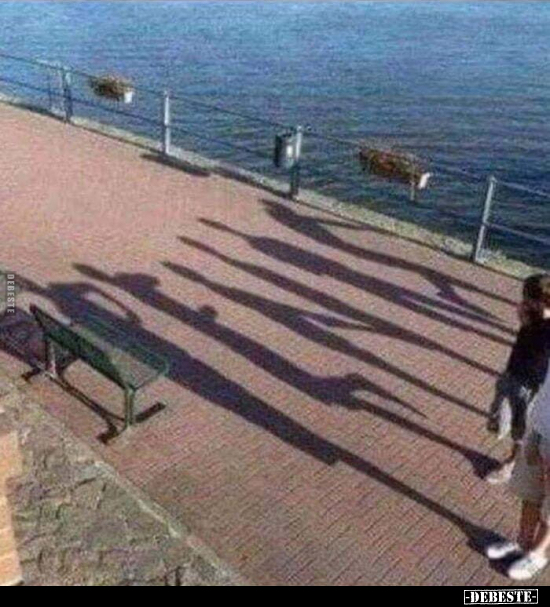  - Lustige Bilder | DEBESTE.de