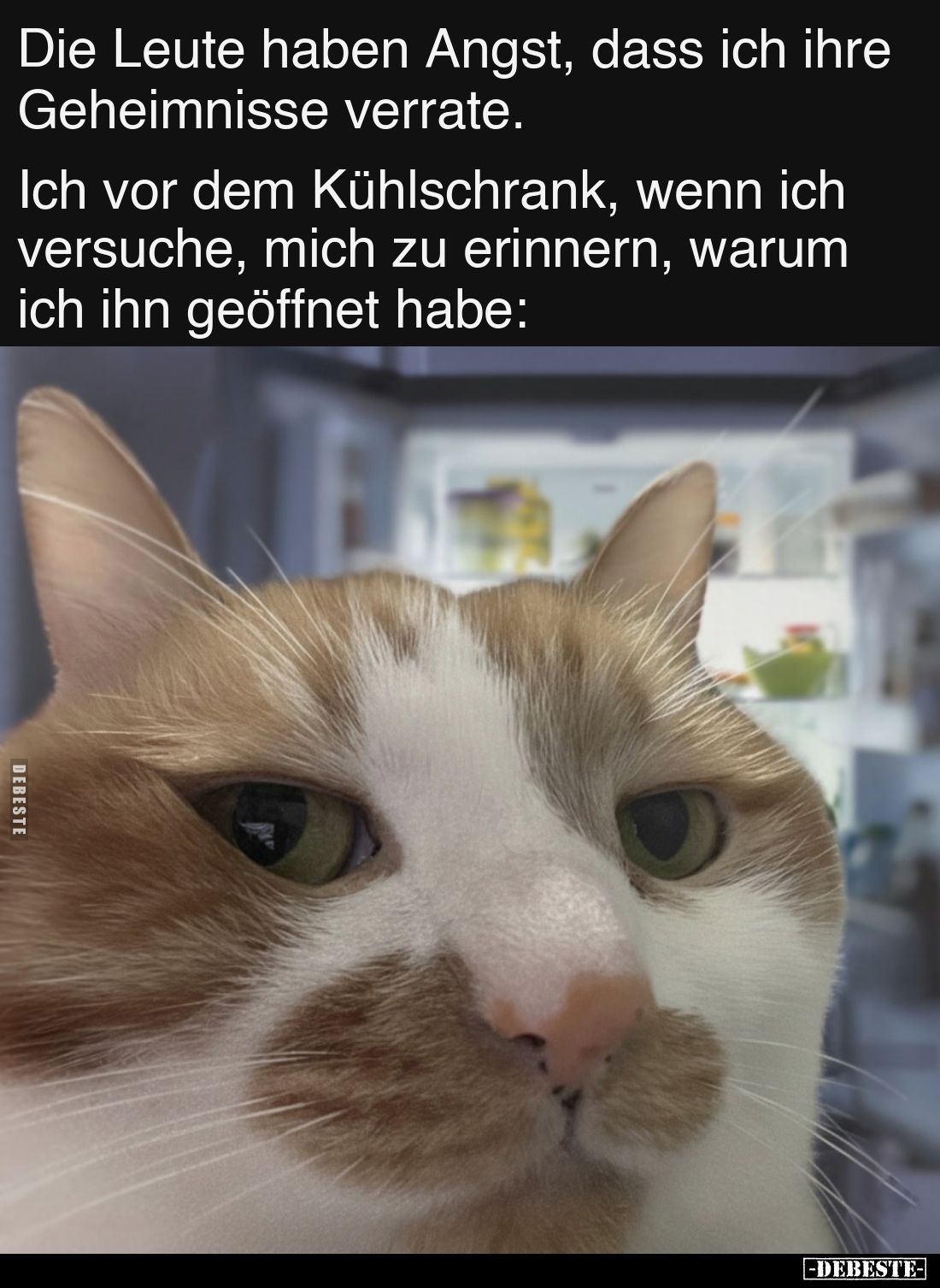 Die Leute haben Angst, dass ich ihre Geheimnisse verrate.

Ich vor dem Kühlschrank, wenn ich versuche, mich zu erinnern, wa...