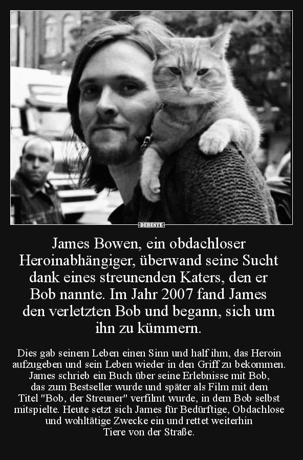 James Bowen, ein obdachloser Heroinabhängiger.. - Lustige Bilder | DEBESTE.de