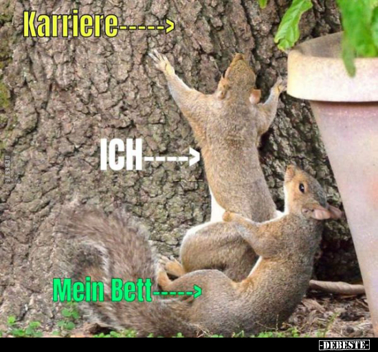 Karriere ---->

Ich ----->

Mein Bett ----->