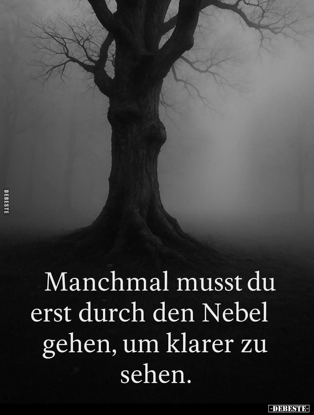 Manchmal musst du erst durch den Nebel gehen, um klarer zu sehen.