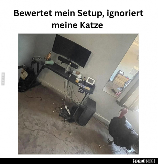 Bewertet mein Setup, ignoriert meine Katze.. - Lustige Bilder | DEBESTE.de