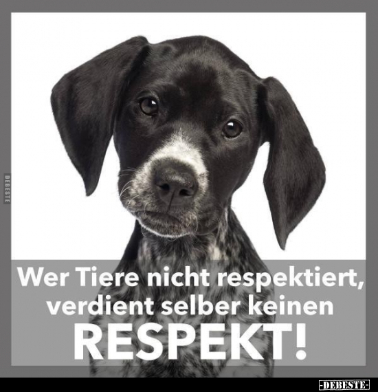 Wer Tiere nicht respektiert, verdient selber keinen.. - Lustige Bilder | DEBESTE.de