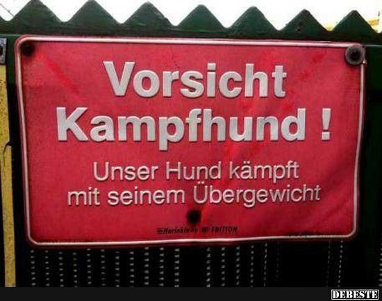 Vorsicht Kampfhund! - Lustige Bilder | DEBESTE.de