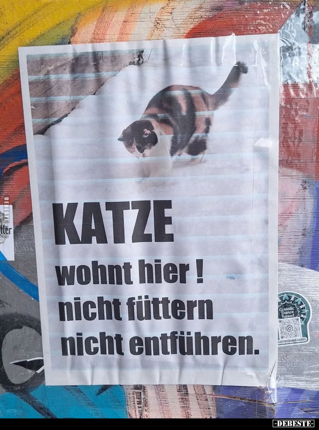 KATZE
wohnt hier! nicht füttern nicht entführen.