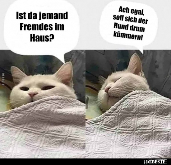 Ist da jemand Fremdes im Haus?..