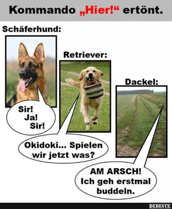 Kommando 'Hier!' ertönt.