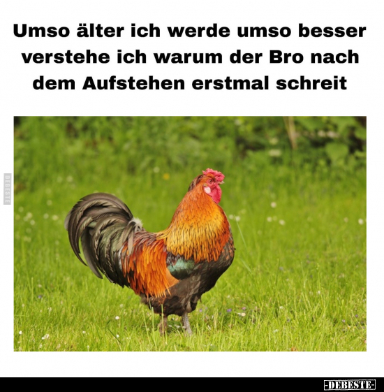 Umso älter ich werde umso besser verstehe ich.. - Lustige Bilder | DEBESTE.de