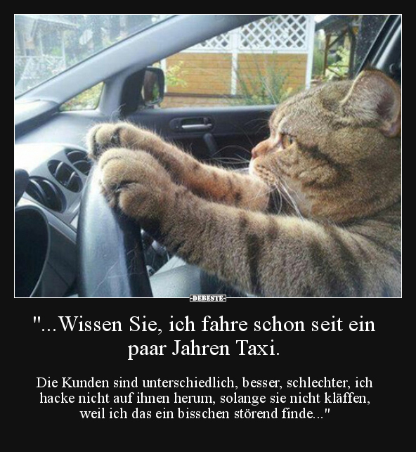 "...Wissen Sie, ich fahre schon seit ein paar Jahren Taxi..." - Lustige Bilder | DEBESTE.de