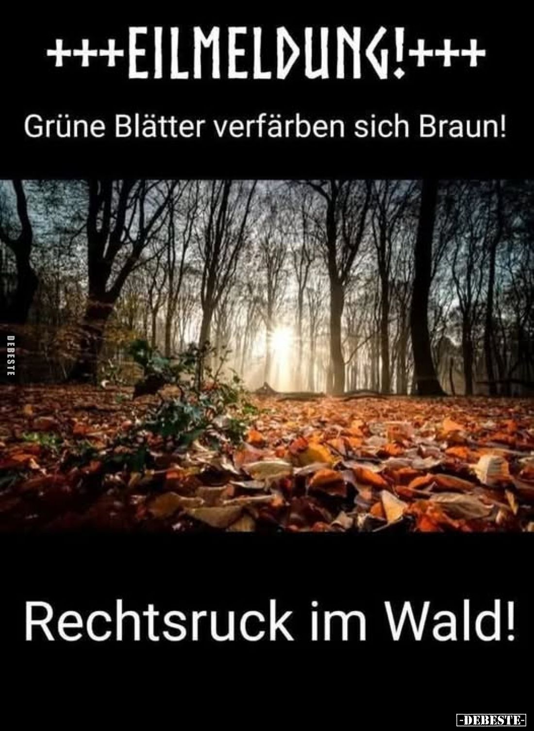 Eilmeldung!
Grüne Blätter verfärben sich Braun!
Rechtsruck im Wald!