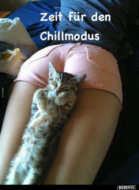 Zeit für den Chillmodus.. - Lustige Bilder | DEBESTE.de