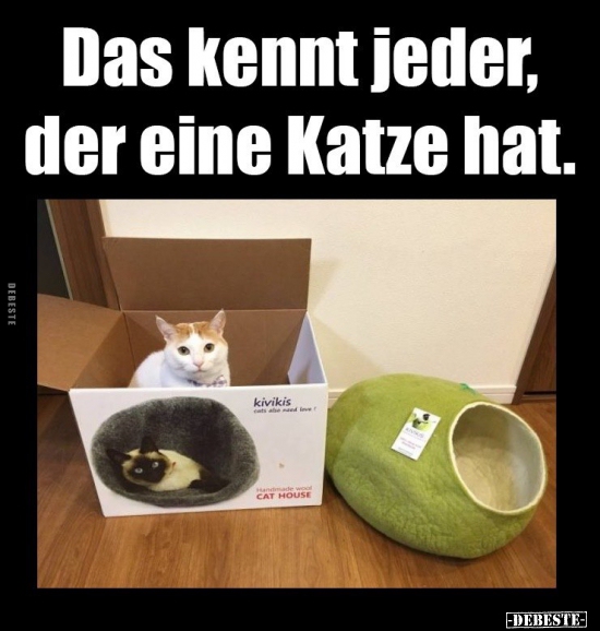Das kennt jeder, der eine Katze hat...