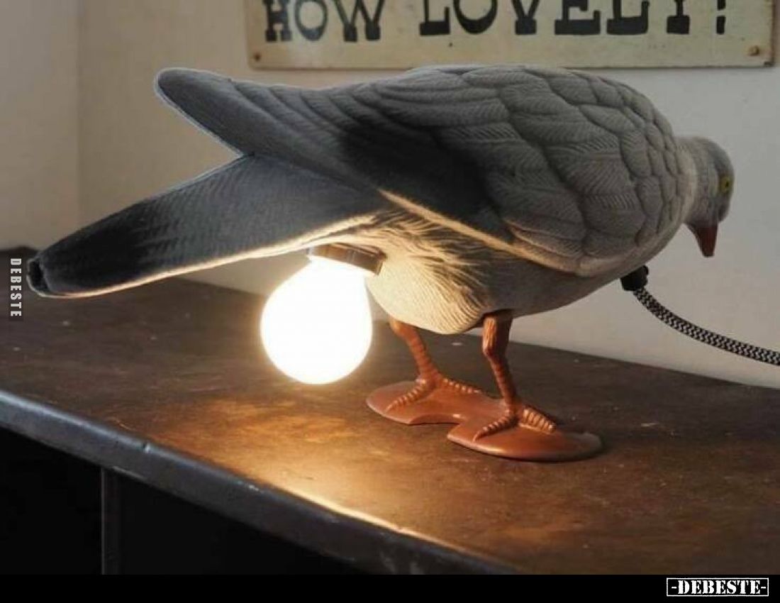  - Lustige Bilder | DEBESTE.de