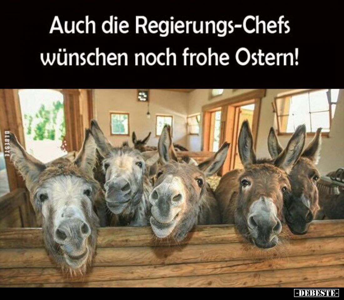 Auch die Regierungs-Chefs wünschen noch frohe Ostern!.. - Lustige Bilder | DEBESTE.de
