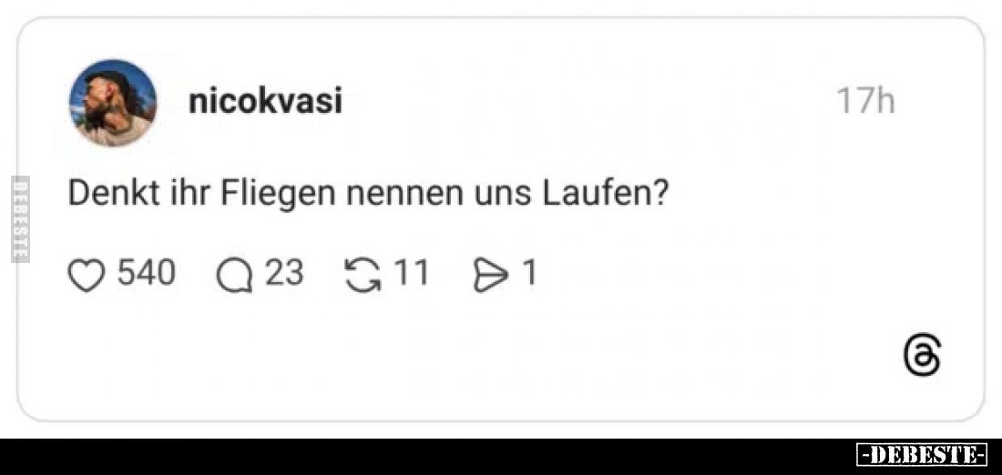 Denkt ihr Fliegen nennen uns Laufen?