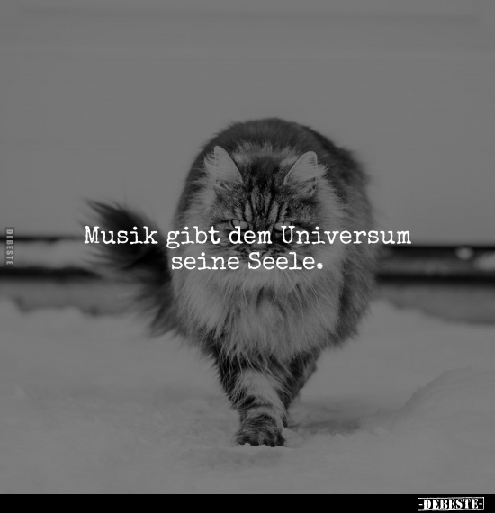 Musik gibt dem Universum seine Seele... - Lustige Bilder | DEBESTE.de