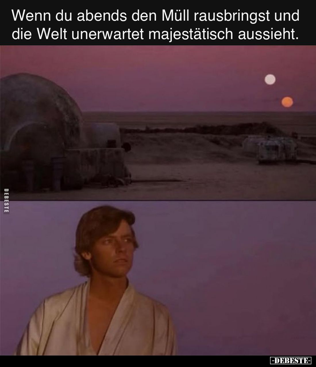 Wenn du abends den Müll rausbringst und die Welt unerwartet majestätisch aussieht.