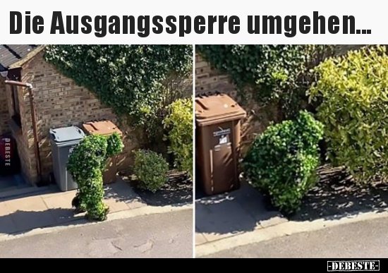 Die Ausgangssperre umgehen...