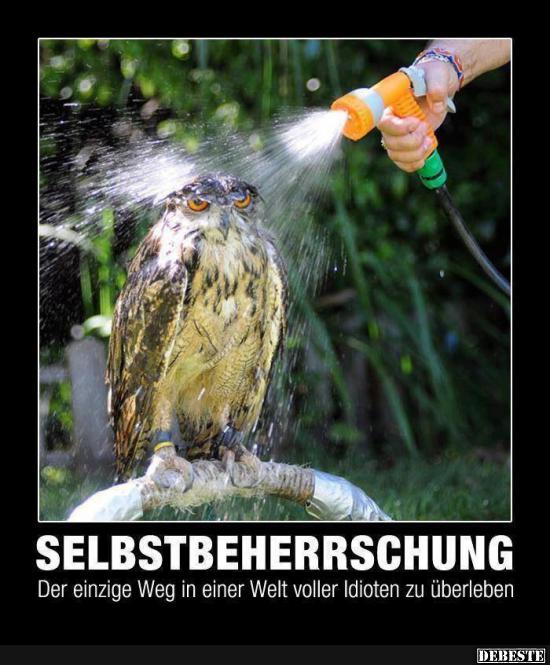 Selbstbeherrschung