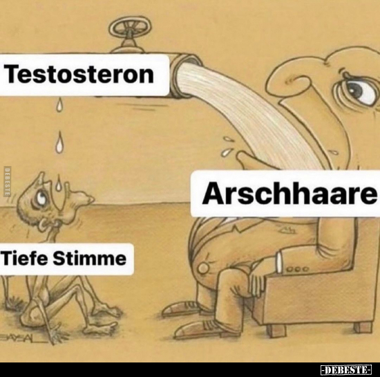 Testosteron - Arschhaare - Tiefe Stimme.. - Lustige Bilder | DEBESTE.de