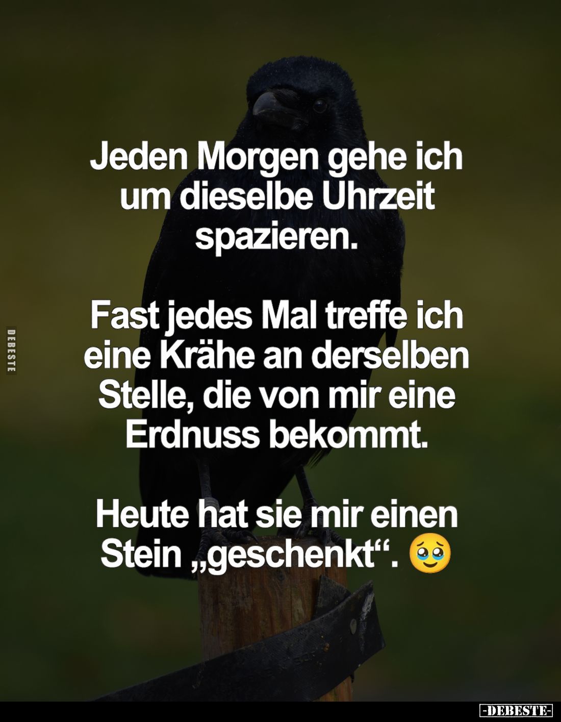 Jeden Morgen gehe ich um dieselbe Uhrzeit spazieren.
Fast jedes Mal treffe ich eine Krähe an derselben Stelle, die von mir e...