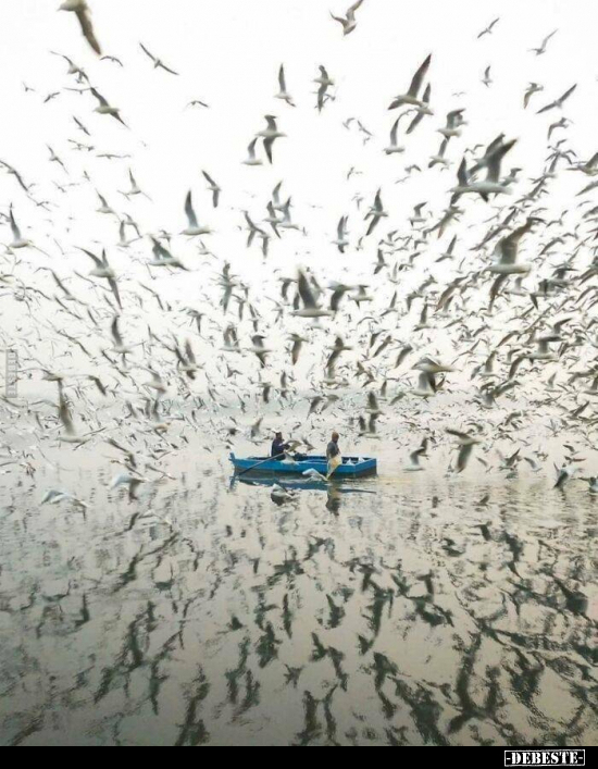  - Lustige Bilder | DEBESTE.de