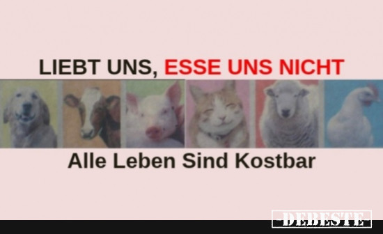 LIEBT UNS - ESSE UNS NICHT - Lustige Bilder | DEBESTE.de