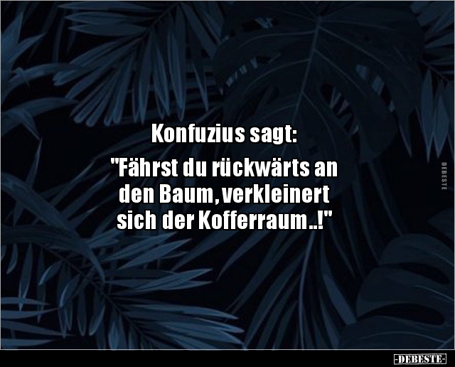 Konfuzius sagt: "Fährst du rückwärts an den Baum.." - Lustige Bilder | DEBESTE.de