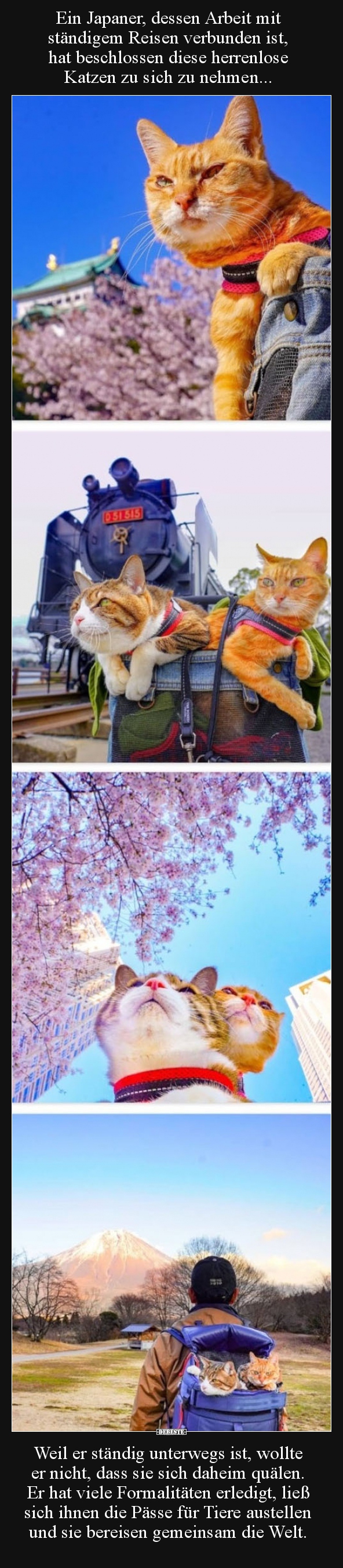 Ein Japaner, dessen Arbeit mit ständigem Reisen verbunden.. - Lustige Bilder | DEBESTE.de