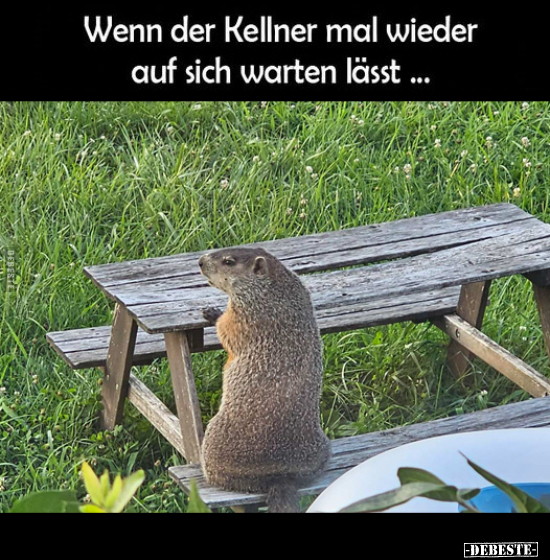 Wenn der Kellner mal wieder.. - Lustige Bilder | DEBESTE.de