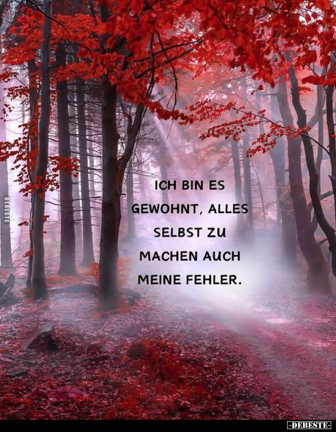 Ich bin es gewohnt, alles selbst zu machen auch meine Fehler.