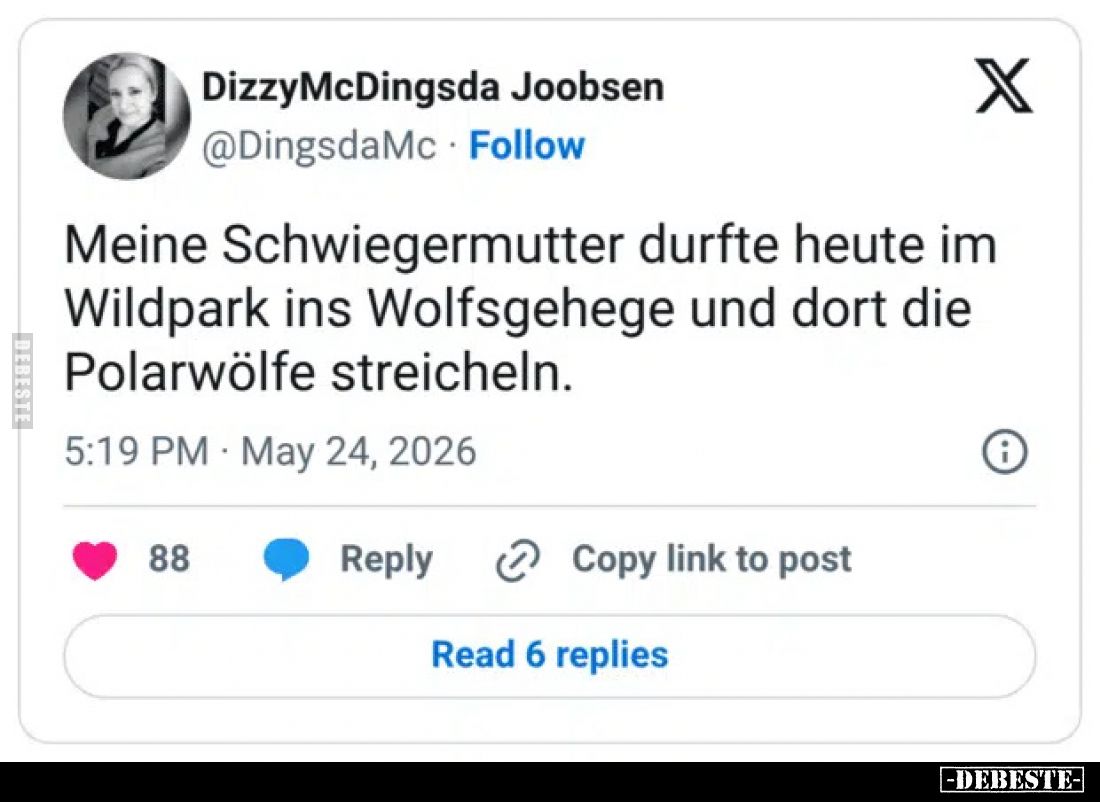 Meine Schwiegermutter durfte heute im Wildpark ins Wolfsgehege und dort die Polarwölfe streicheln.