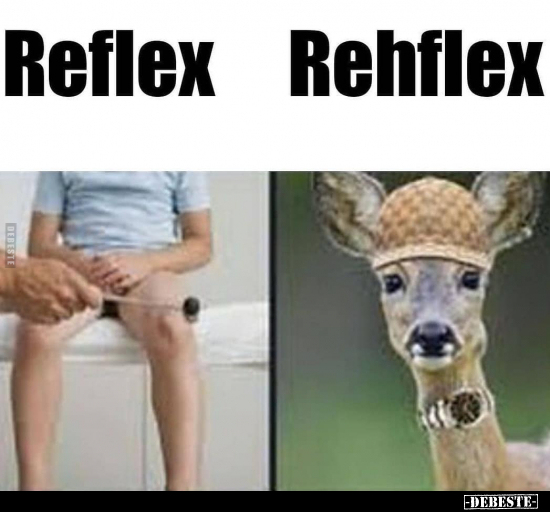 Reflex / Rehlex.. - Lustige Bilder | DEBESTE.de