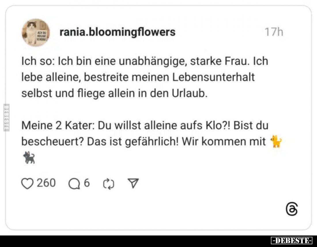 Ich so: Ich bin eine unabhängige, starke Frau. Ich lebe alleine, bestreite meinen Lebensunterhalt selbst und fliege allein in...