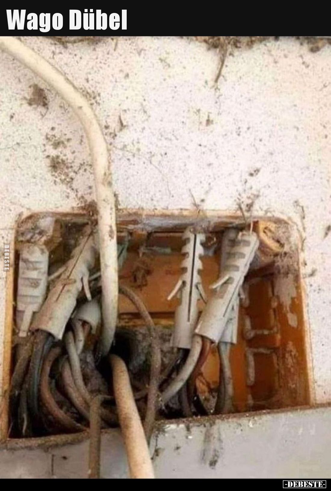 Wago Dübel..