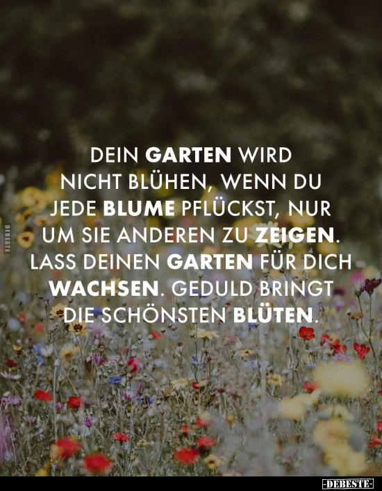 Garten, Wenn, Zeigen, Geduld