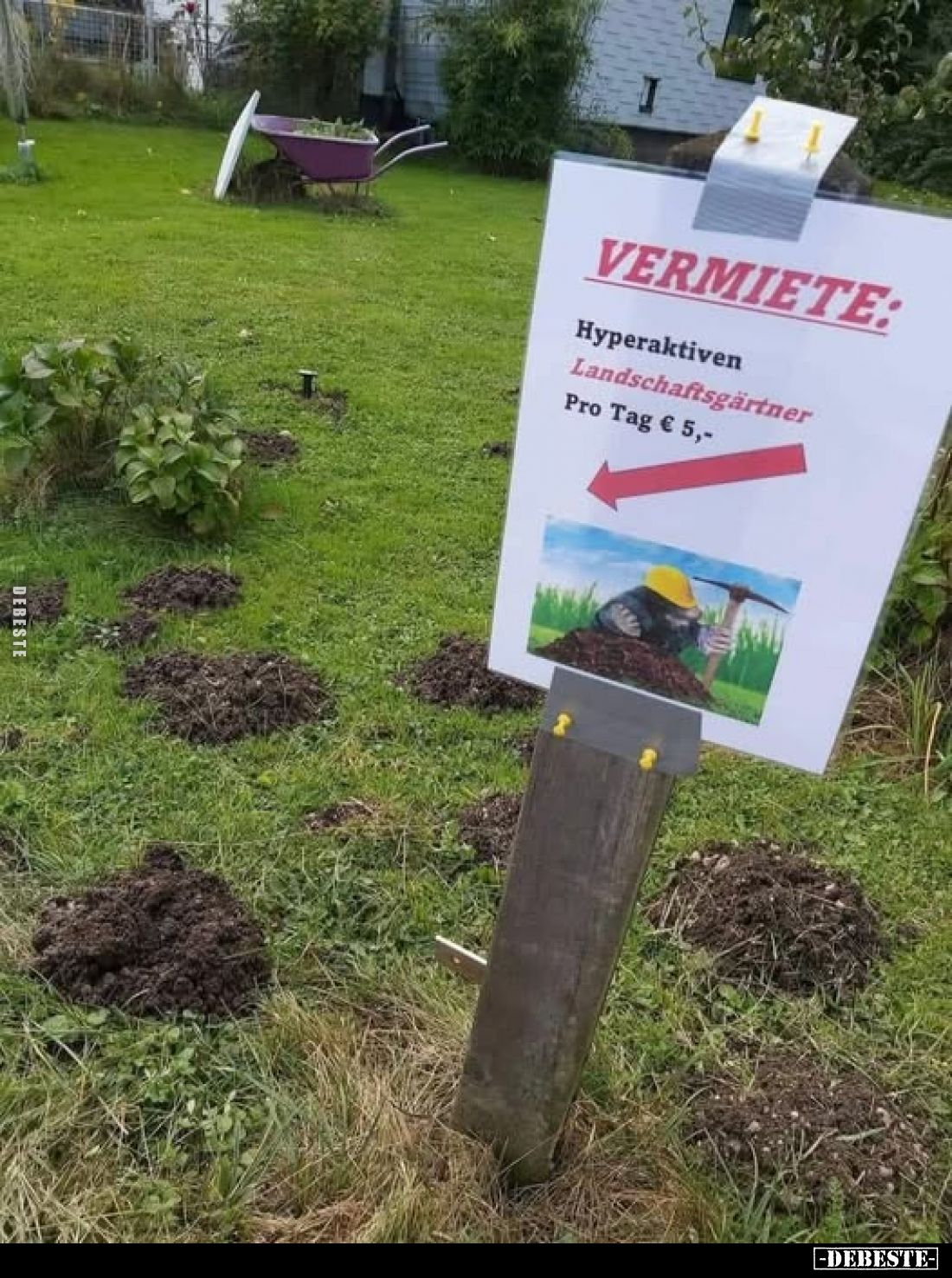 Vermiete:
Hyperaktiven
Landschaftsgärtner.
Pro Tag € 5,-